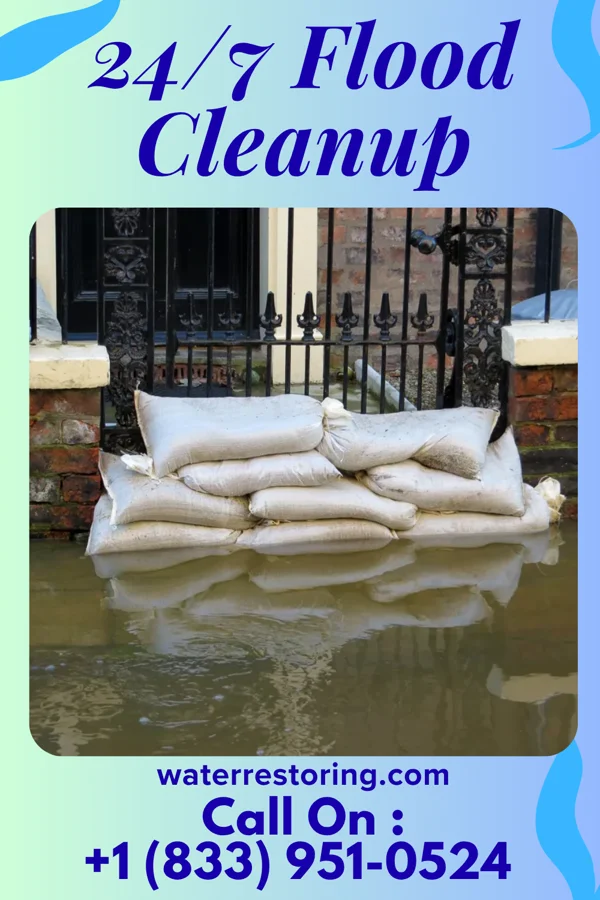 24/7 Flood Cleanup in Roosevelt Park, MI