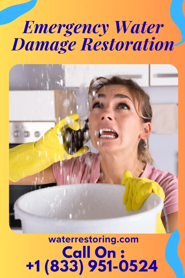 Emergency Water Damage Restoration in Roosevelt Park, MI