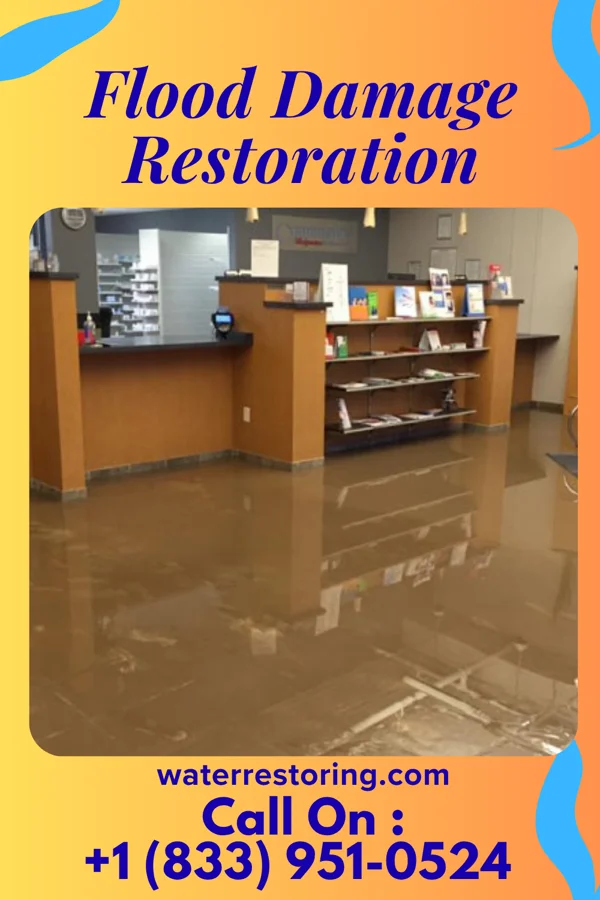 Flood Damage Restoration in Roosevelt Park, MI