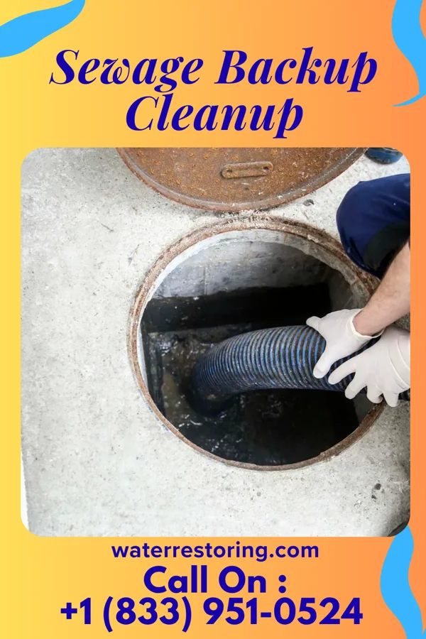Sewage Backup Cleanup in Roosevelt Park, MI
