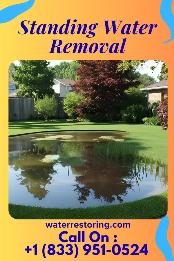 Standing Water Removal in Roosevelt Park, MI